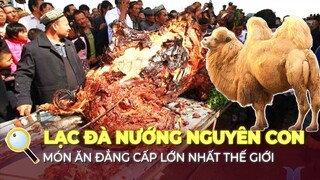 LẠC ĐÀ NƯỚNG NGUYÊN CON – MÓN ĂN KHỔNG LỒ VÀ SANG CHẢNH CỦA NGƯỜI Ả RẬP