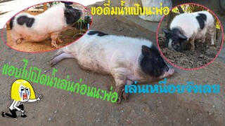 น้องรวยแอบไปเปิดเล่นน้ำเล่นโคลน😌🤣😅😂