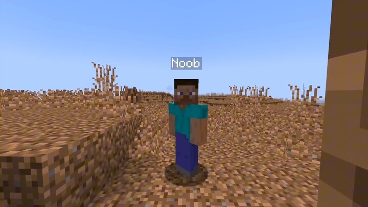 我的世界：我被困在了菜鸟文明里！