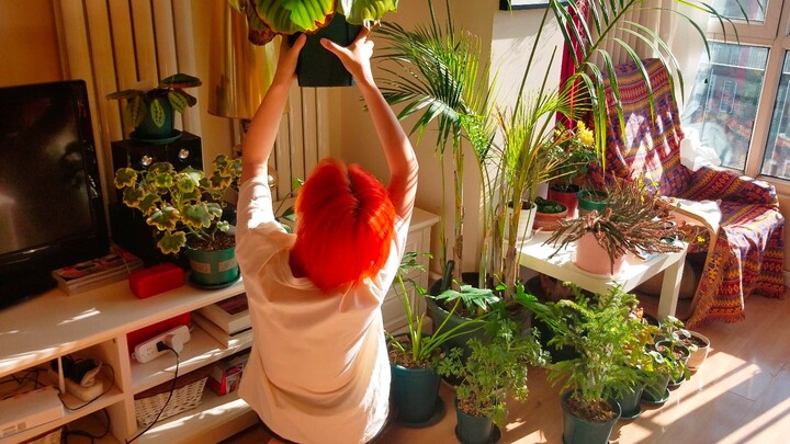 When I raised 100 kinds of plants, work