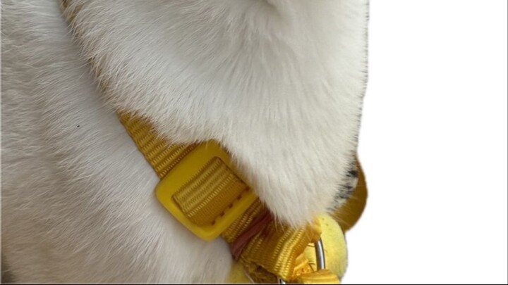 Hgggd เดียวจบ