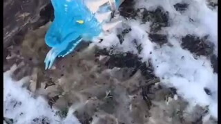 男人们的游戏有多幼稚....鼓起来那一刻我笑了！