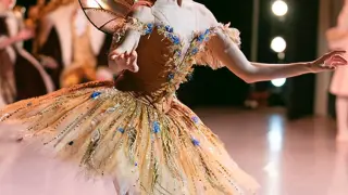 Beautiful Ballerina Costumes