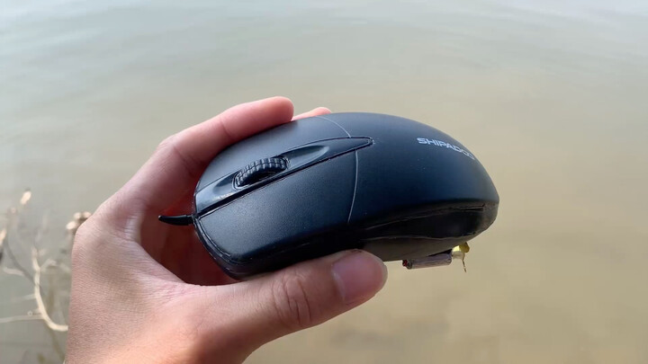Mouse boat: a tiny mouse gliding across the water