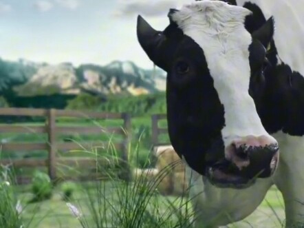 【Xiao Qian Gua xi】Video loading—quick, check it out for a surprise!