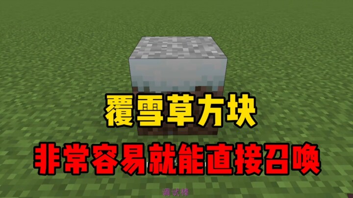 บล็อกหญ้าหิมะ – เรียกใช้คำสั่งแท่งดีบัก!