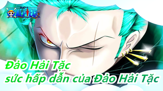 [Đảo Hải Tặc] Các cảnh Hoành tráng của Zoro, Bạn có yêu anh ấy không?