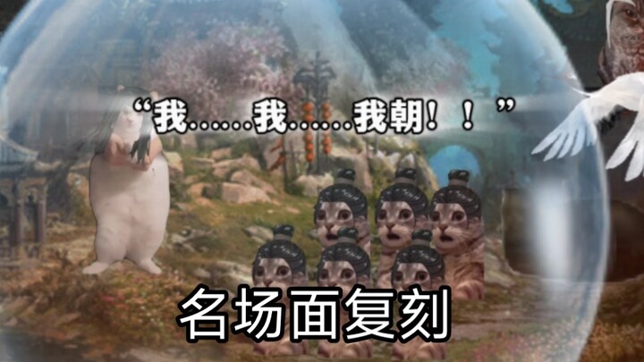 【猫meme蛊】呵，我乃三转巅峰