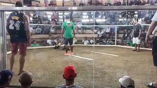 1st fight win galing kalaban.