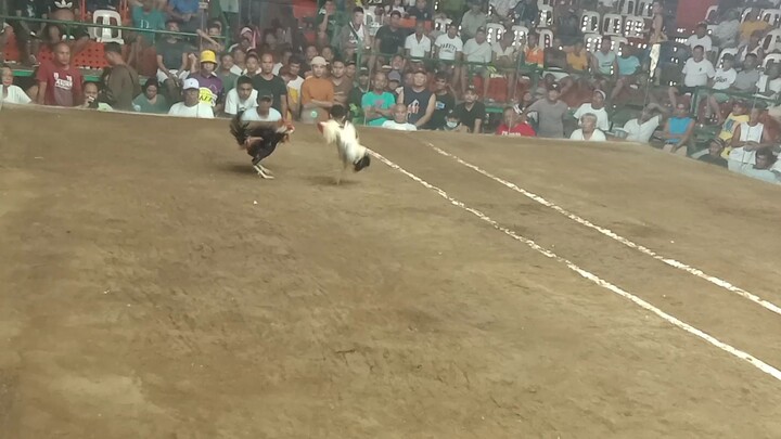 kanawayon vs dalusapi ( loss)