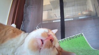 เหมือนแล้ว