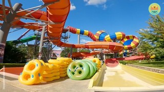 Cheeky Monkey on a Raft Ride at Aquamania Albena 😍😍😍