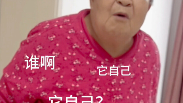 I knew as soon as I walked in, my grandma would head straight for the cat. After all, back in summer