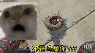 不是鸟巢你 ？？