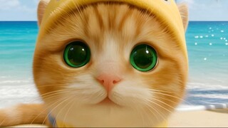 可爱的海滩小猫！