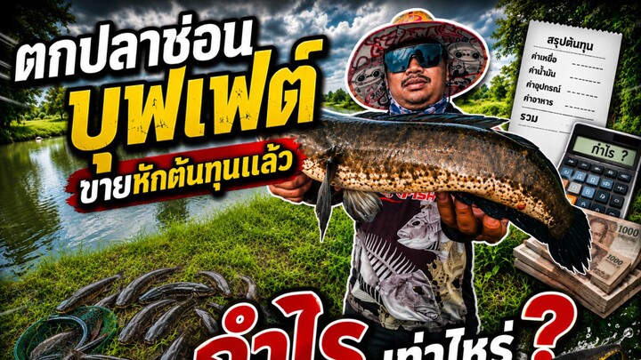 ตกปลาช่อนบุฟเฟ่ต์ขายหักต้นทุนแล้วจะได้กำไรเท่าไหร่