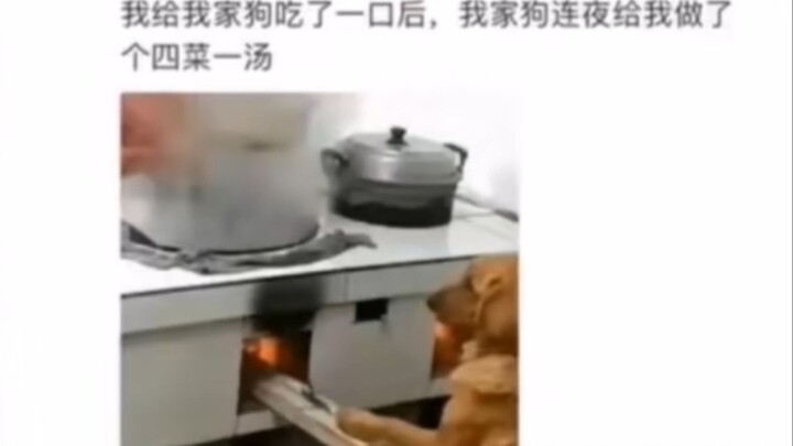 The Ultimate Collection of Insane Food Delivery Reviews