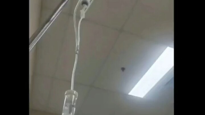 أليس جميلًا؟