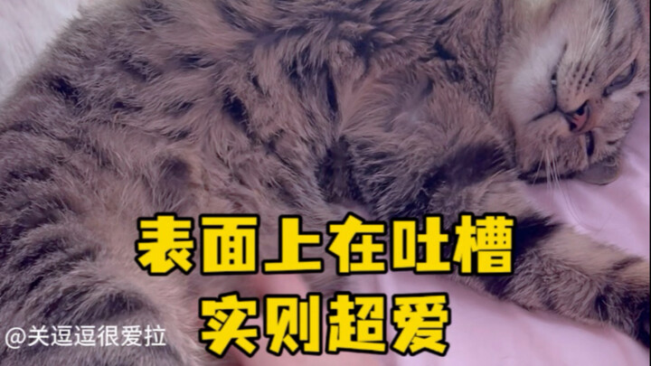 يبدو أنه ينتقد، لكنه في الحقيقة يعشق الأمر بشدة!