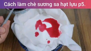 cách làm chè sương sa hạt lựu p5
