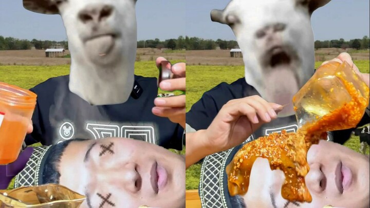 Đơn giản thôi, ăn món Lão Mã Đôn Hoàng