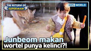 [IND/ENG] Bukannya kasih ke kelinci, Junbeom makan wortelnya! | The Return of Superman | KBS WORLDTV