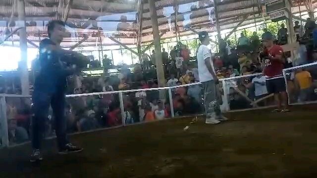 1st fight, bulik na basag, 1st win #BordsGF #BordsBanga #AlagangSalto