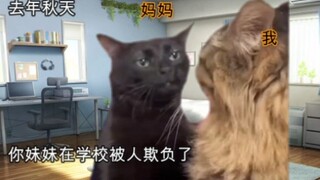 [Cat Meme] ไข่ที่แตกจากภายในคือชีวิต แตกจากภายนอกคือจาน