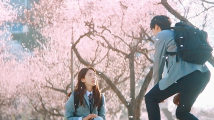 Một đoạn trailer chỉ hơn mười giây thôi mà đã khiến khán giả cười nghiêng ngả, hahaha [Park Hyung-si