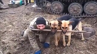 狗：你血统比我纯啊！