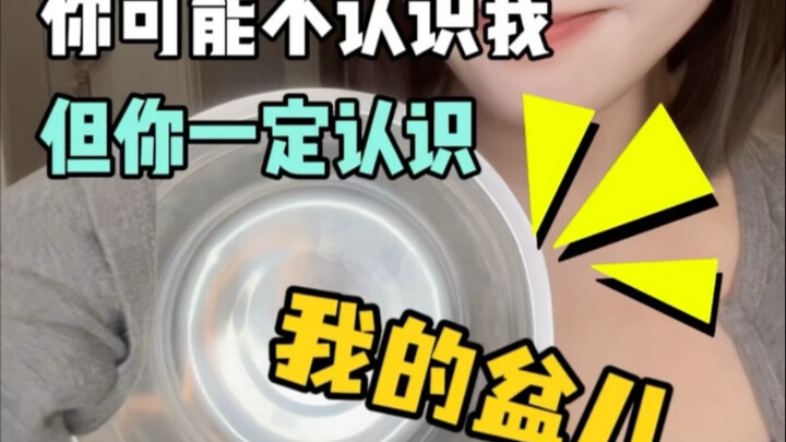 This is the path I’ve walked—your very own Meng Qinghui journey!