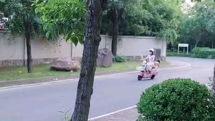 Lady Incognito  part 1