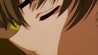 [Magic Card/Sakura Wolf] Saying I Love You Step by Step | You are my only one.