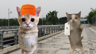 Video nhảy múa của búp bê bị mất máy quay đòi lại lon đồ hộp từ chú mèo chuối!