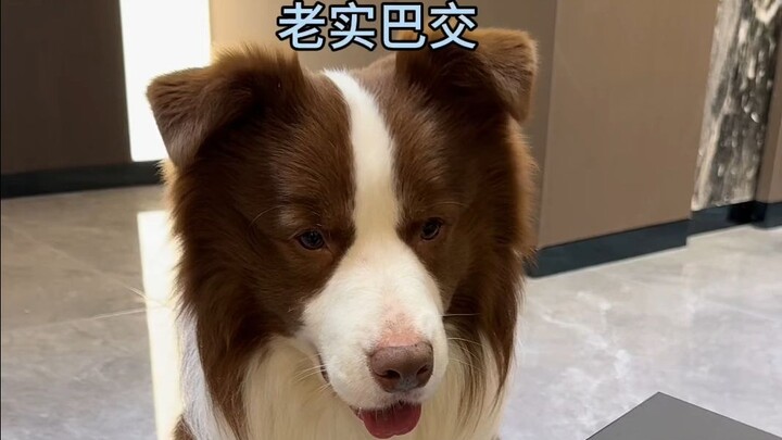Doggy: Okay, okay, okay—so this is how it’s gonna be, huh?