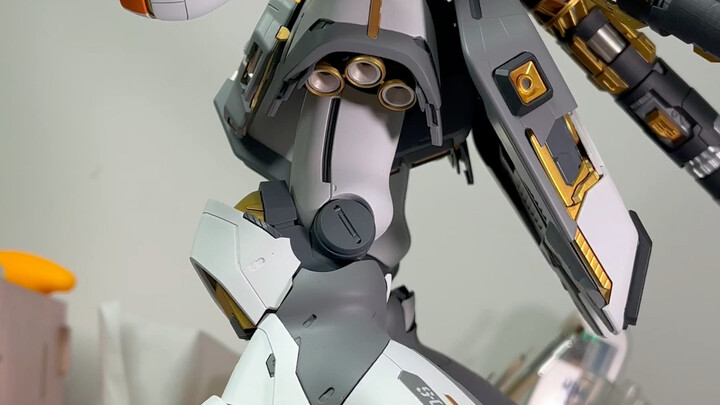 A record of a newbie who has been playing for half a year - the evolution of Sazabi