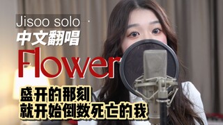 Jisoo【Flower】Chinese cover/The moment it blooms, I start counting down to my death
