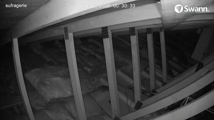 RAT5 - 20260113-002846-003202-000002000000