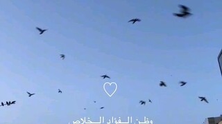Arabic Nasheed