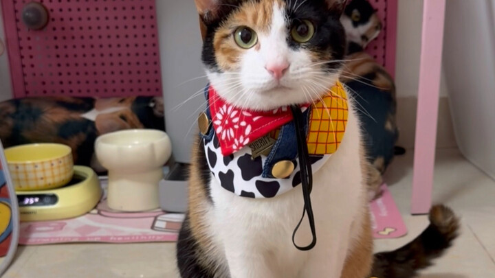 Just take one look at Mickey Mouse...