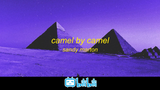 Nhạc US UK mỗi ngày- Sandy Marton - Camel by Camel - #Music