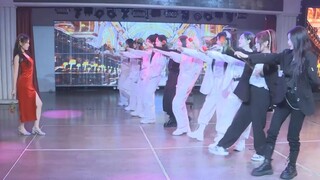 【Han Jiale】One Flower, Many Melons "Garden Dance" NII Version