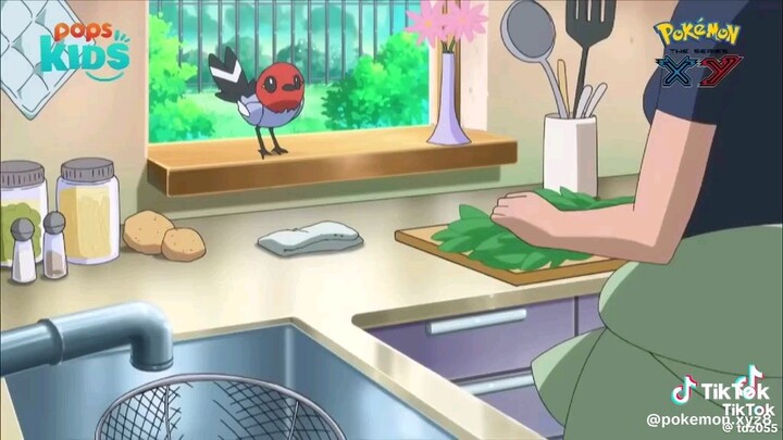 Pokemon xyz tập 1
