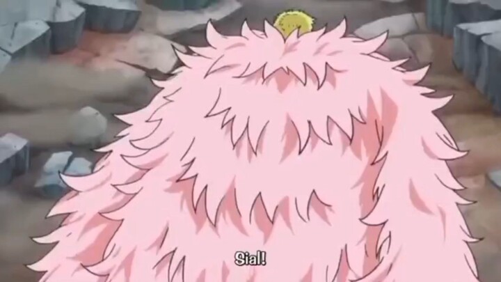 one piece bushosoku