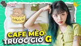 "Cô Chủ" LND Review CAFE MÈO KATHOLIC Ngay Trước Giờ G Khai Trương | ĐUỸ MÈO COLLECTION #8