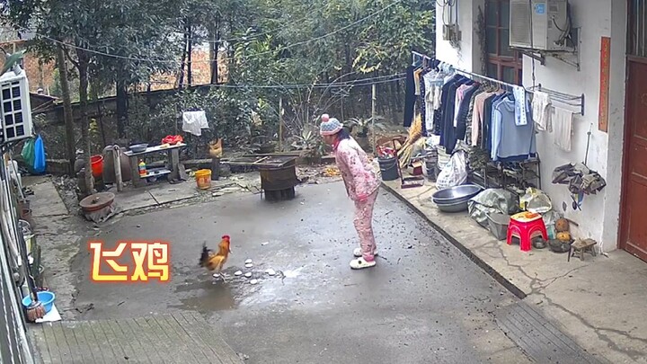 Thì ra đây chính là món Bát Bát Cơ trong truyền thuyết?