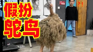 课堂cos鸵鸟 会发生什么事？