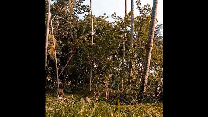 Kanang nagTapok kag LOBI 🌴