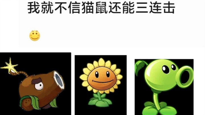 【猫鼠队#4】三连——举世皆惊(*ﾟﾛﾟ)!!