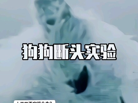 Thân và đầu tách rời mà vẫn sống sót một cách kỳ diệu